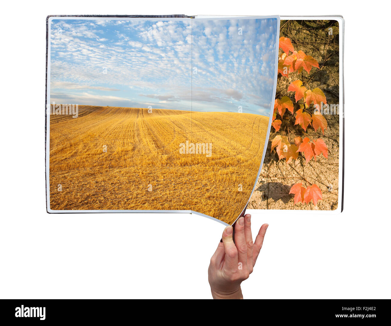 Hand durch das Buch der Jahreszeiten auf weißem Hintergrund Stockfoto