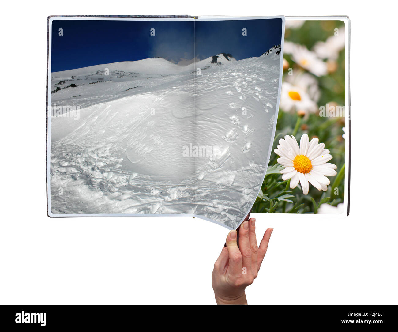 Hand durch das Buch der Jahreszeiten auf weißem Hintergrund Stockfoto