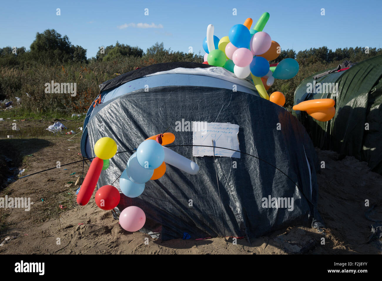 Calais, Frankreich. 19. September 2015. Freunde von ein syrischer Flüchtling schmücken seine improvisierten Zelt mit Luftballons, seinen 27. Geburtstag im Dschungel-Camp in Calais, Frankreich Credit zu feiern: am Anblick Photographic/Alamy Live News Stockfoto