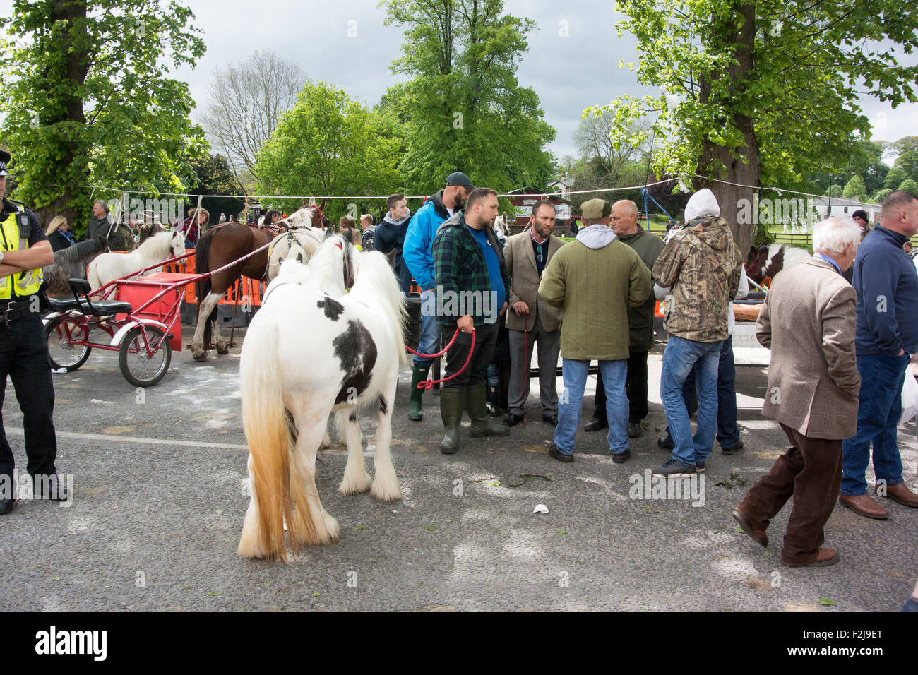 Straßenszenen in Appleby Horse Fair in Cumbria, wo Pferde auf der Straße verkauft werden. UK Stockfoto