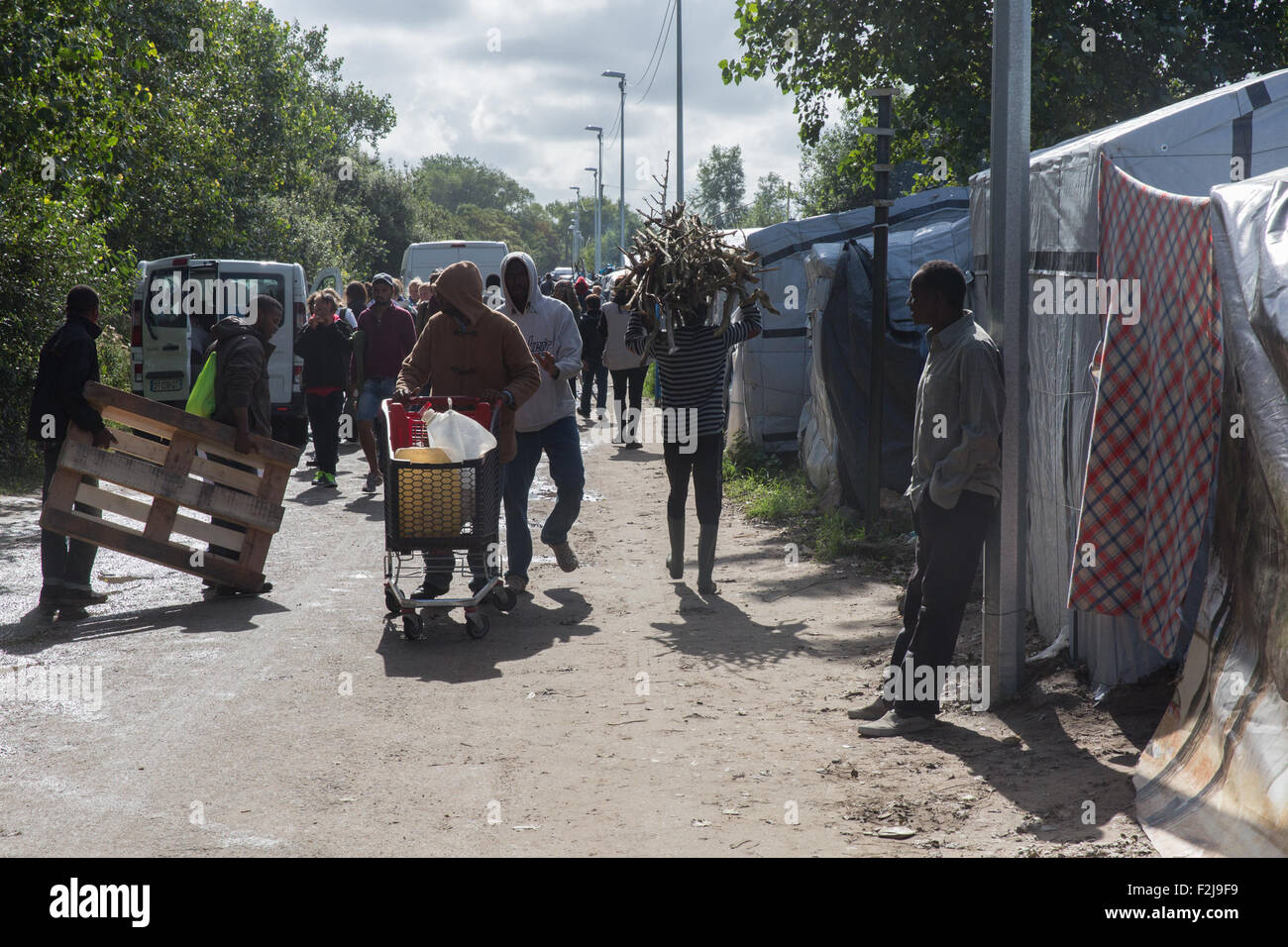 Calais, Frankreich. 19. September 2015. Afrikanische Flüchtlinge Brennholz im Dschungelcamp Calais Kredit zu sammeln: auf Anblick Photographic/Alamy Live News Stockfoto