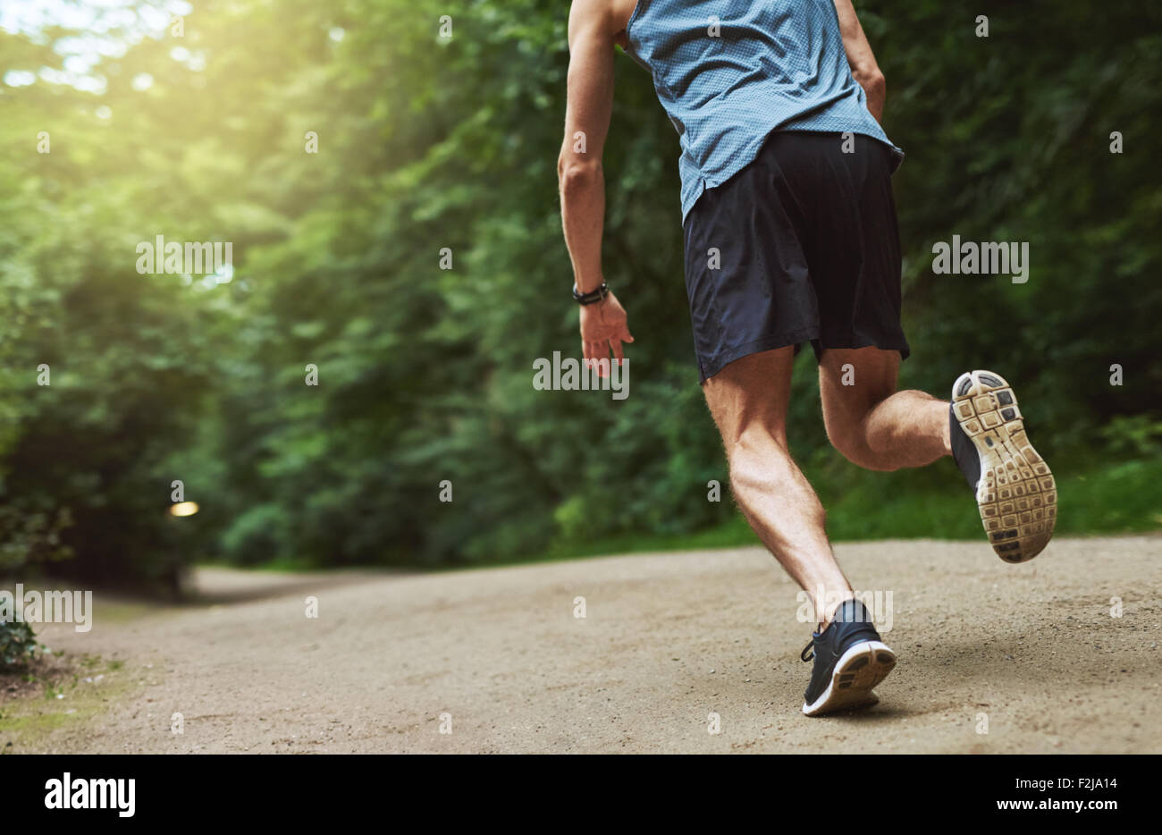 Kopflose hintere Ansicht Schuss eine sportliche junge Mann läuft im Park in den frühen Morgenstunden. Stockfoto