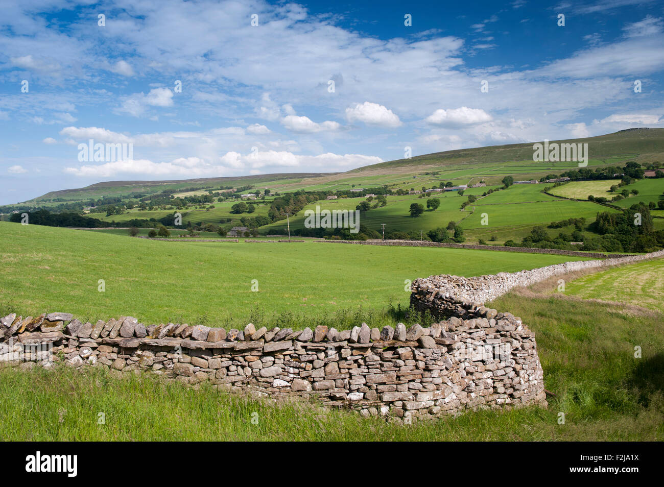 Ackerland und Trockenmauern Wände in Coverdale in der Nähe von Leyburn, North Yorkshire, UK. Stockfoto