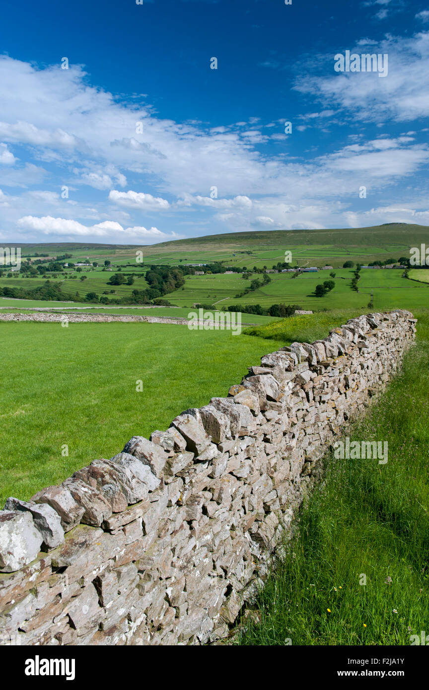 Ackerland und Trockenmauern Wände in Coverdale in der Nähe von Leyburn, North Yorkshire, UK. Stockfoto