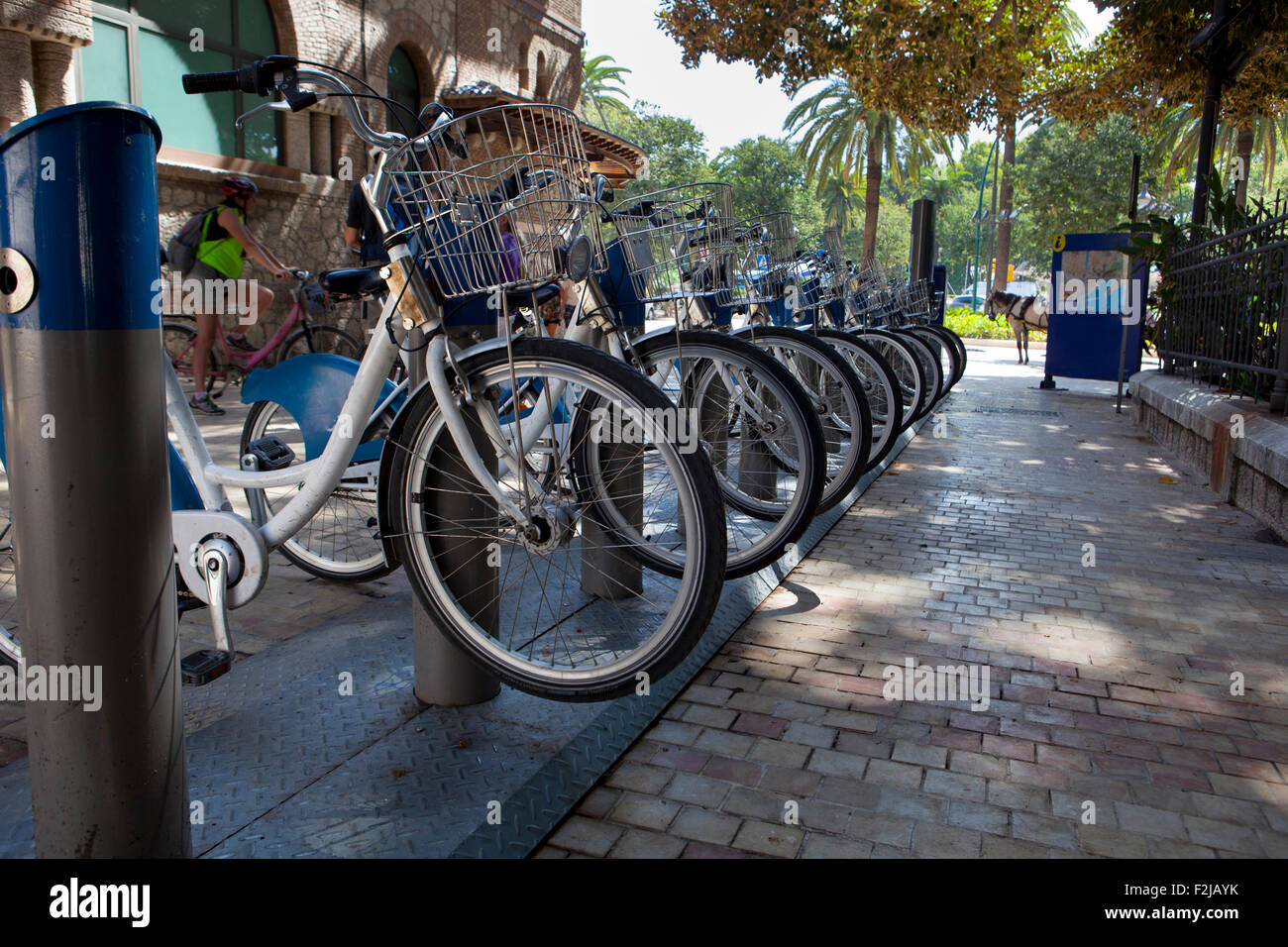 Fahrräder zu vermieten auf der Straße in der alten Stadt Malaga, Spanien Stockfoto