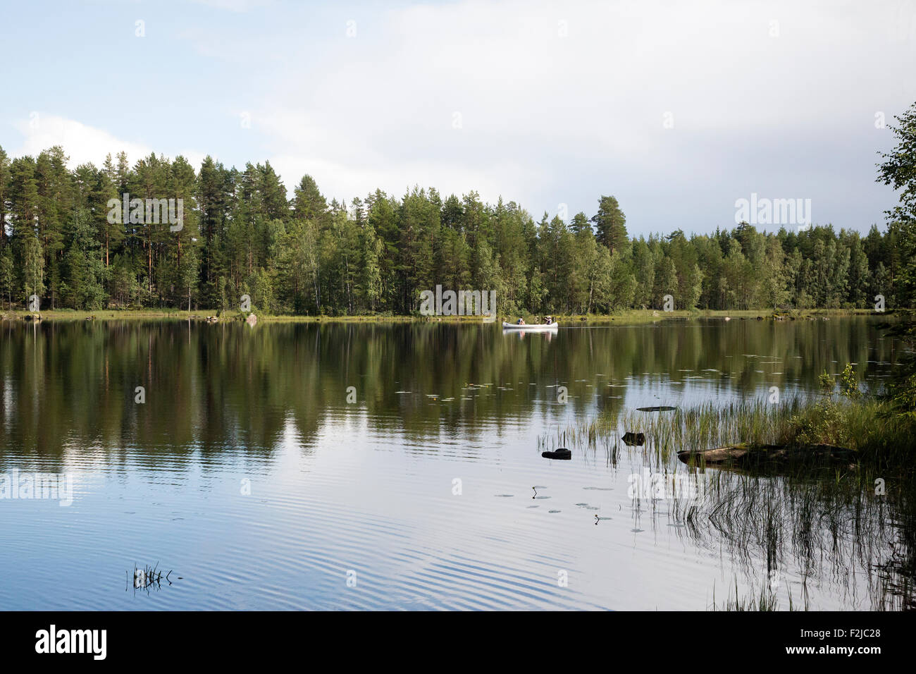 Kanuten auf schwedischen See, Glaskogen Naturreservat, Värmland, Schweden Stockfoto