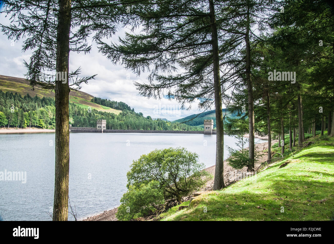 mit Blick auf die Türme Derwent Reservoir Derbyshire in den Kiefernwald auf diesem ländlichen Peak District Derbyshire Ray Boswell Stockfoto