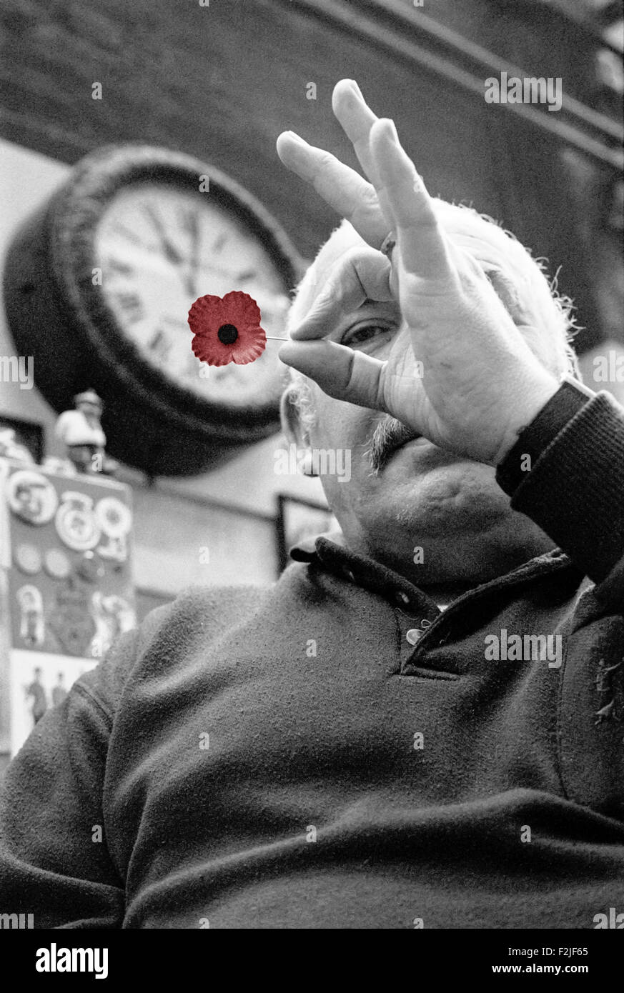 Ältere Herren mit Mohn auf Lady Haig Poppy Fabrik, neue Haig House, Edinburgh, Midlothian, Scotland, UK EH7 4HQ Stockfoto