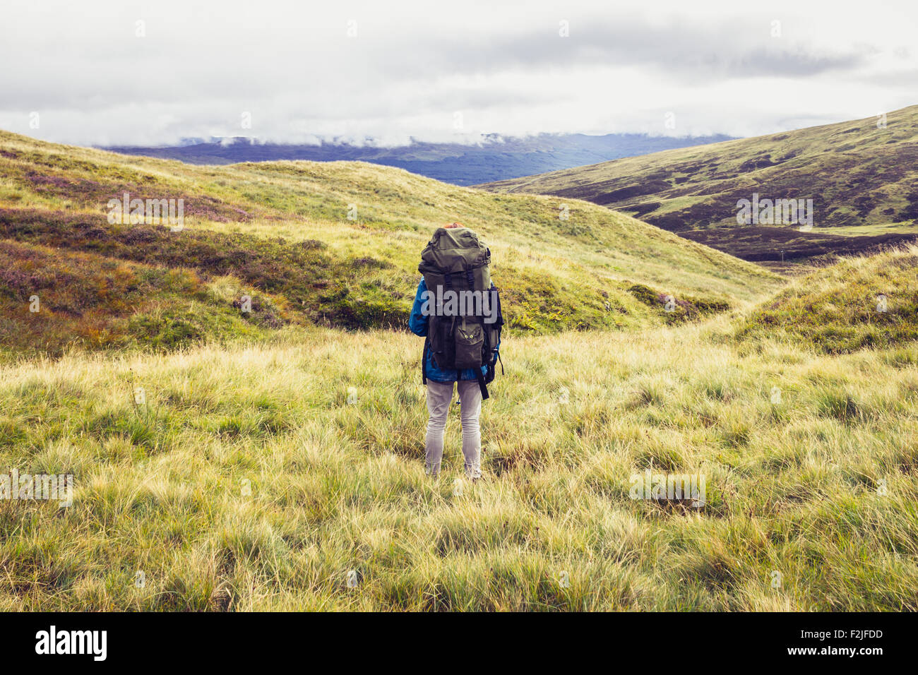 Wanderer mit Rucksack stehen in der Wildnis Stockfoto