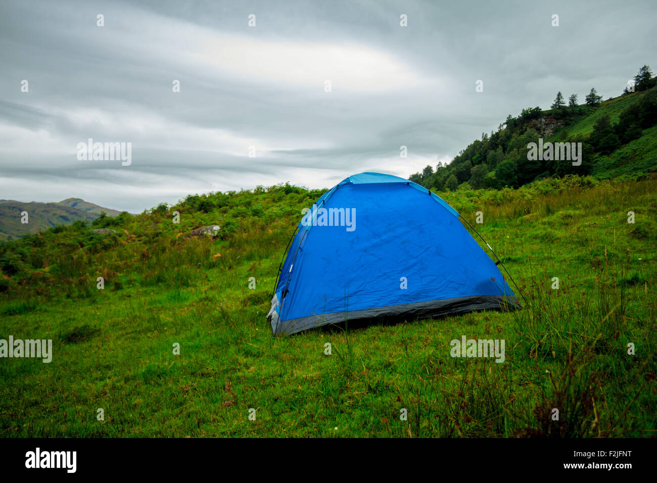 Zelt aufgeschlagen in der Wildnis Stockfoto