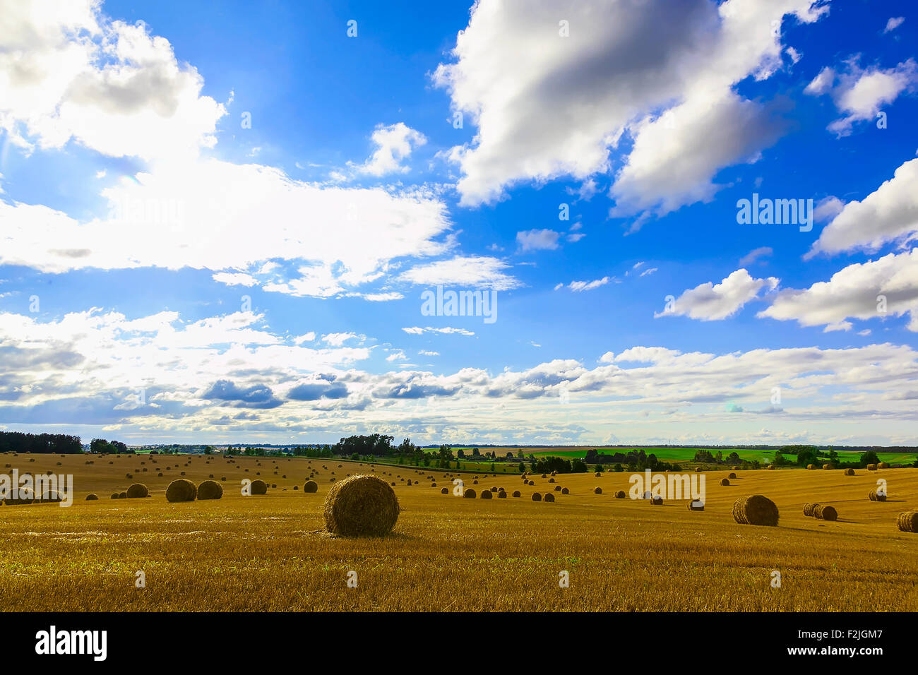 Gelbes Stroh-Ballen auf einem Feld am Ende des Sommers am Tag mit blauem Himmel nach der Ernte Stockfoto