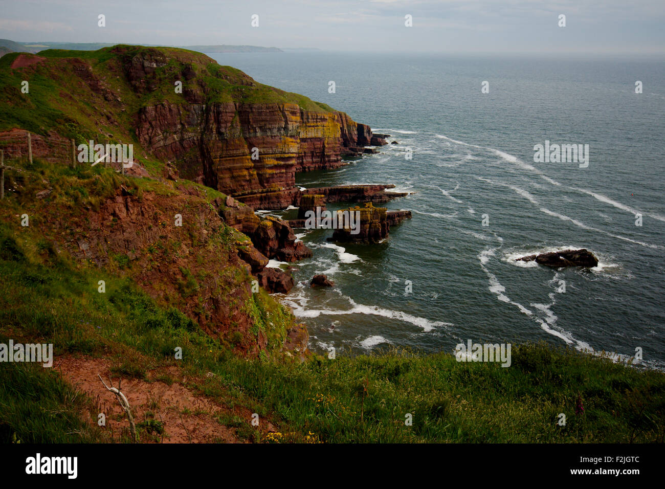 Schroffe Steilküsten der Pembrokeshire Küste Stockfoto