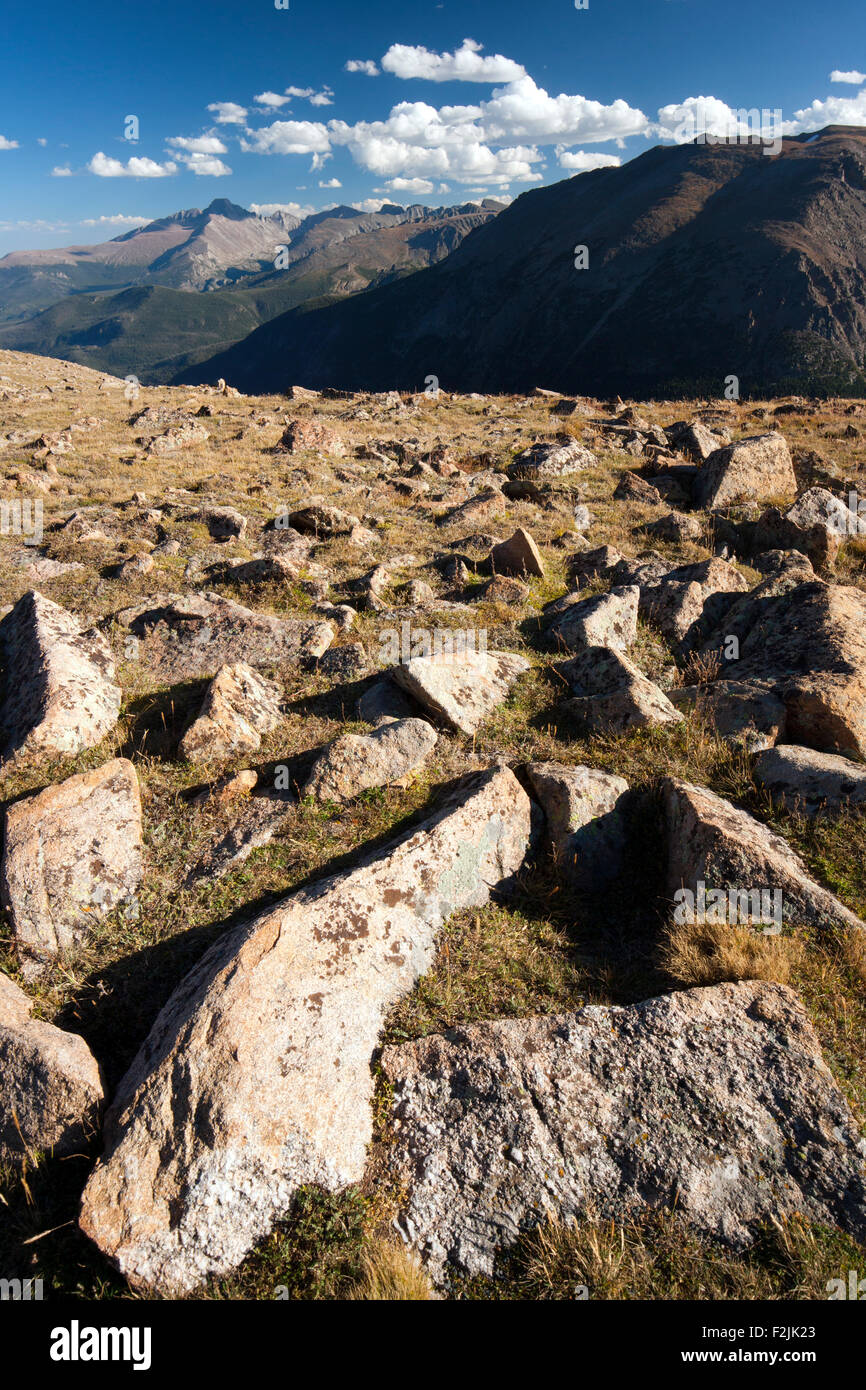 Alpine Tundra Habitat - Trail Ridge Road - Rocky Mountain National Park, in der Nähe von Estes Park, Colorado USA Stockfoto