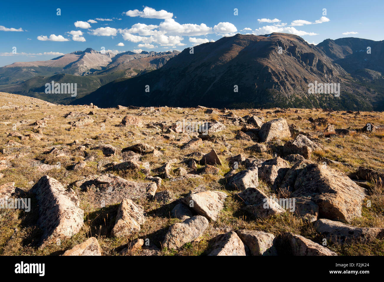 Alpine Tundra Habitat - Trail Ridge Road - Rocky Mountain National Park, in der Nähe von Estes Park, Colorado USA Stockfoto