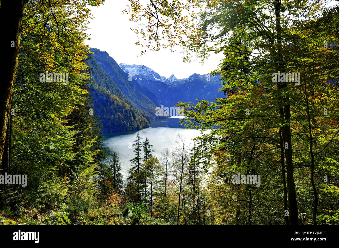 Blick vom Malerwinkel auf Königssee oberen Bayern Deutschland Europa Stockfoto