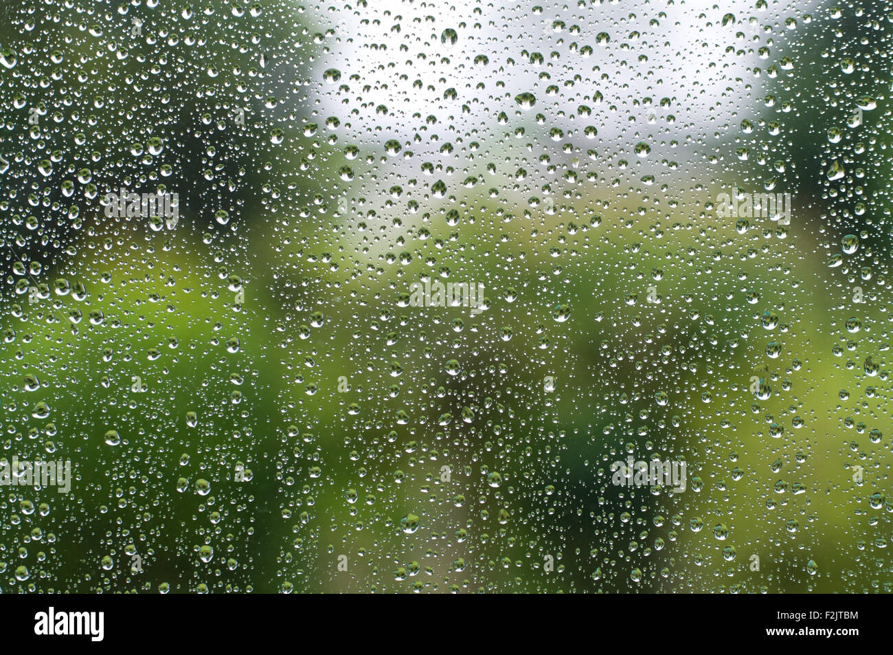Regentropfen auf einem Fenster vor aus Fokus grüne Landschaft. Stockfoto