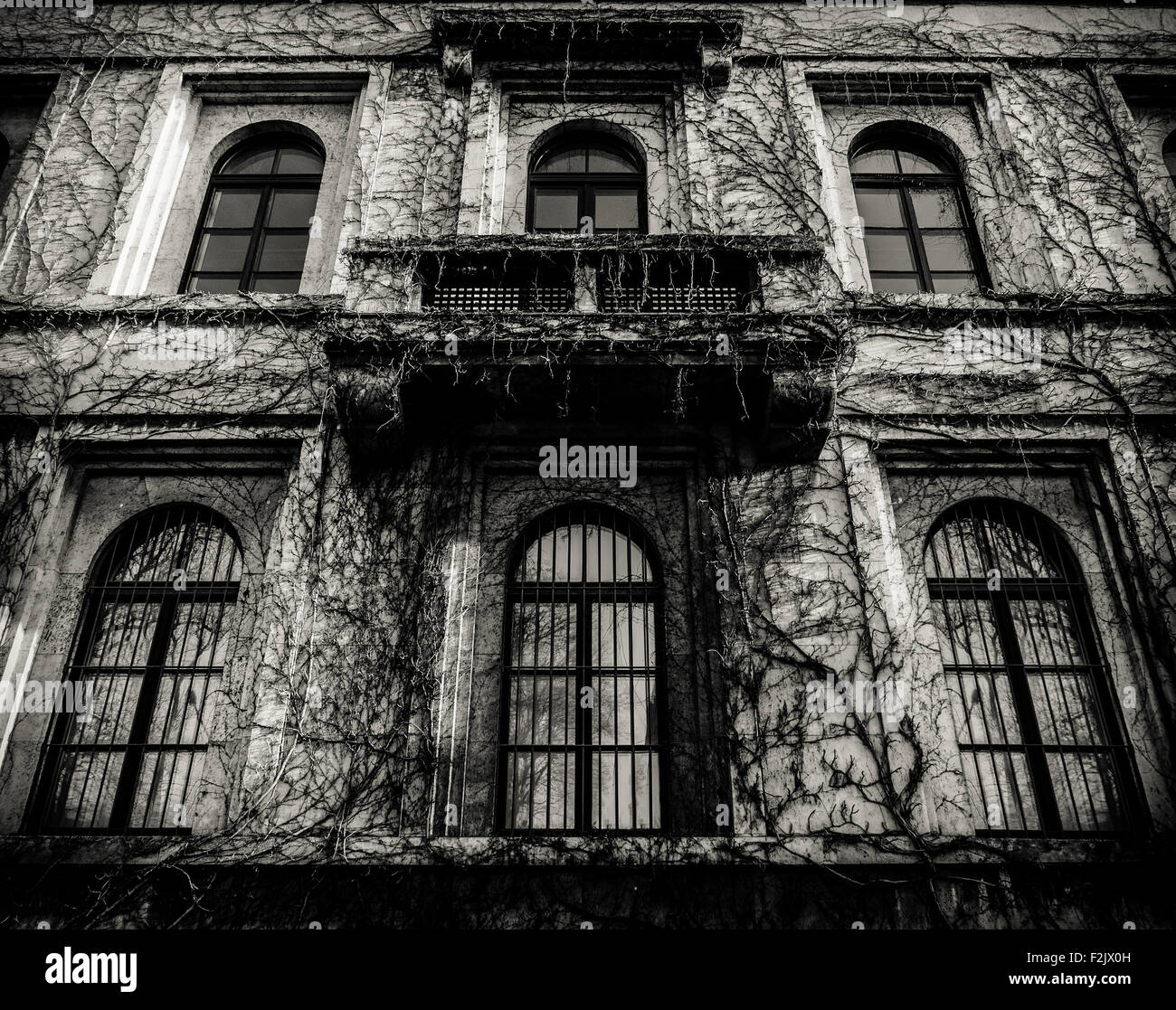 Halloween-Bild des alten Spukhaus In Toten Reben bedeckt Stockfoto