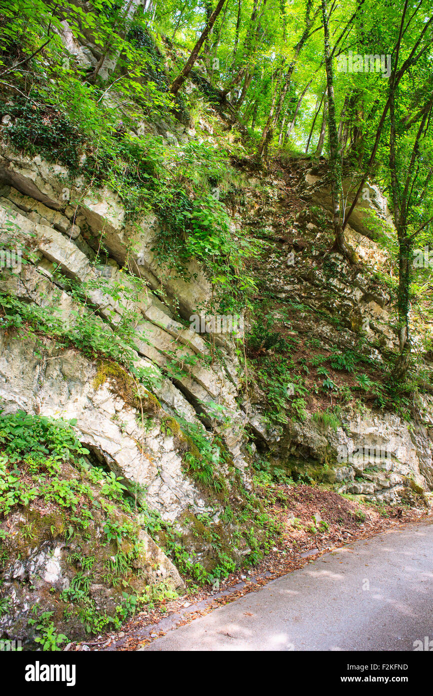 Ansicht der sedimentären Felsen im Fluss Tal der Tolminka. Javorca. Slowenien Stockfoto