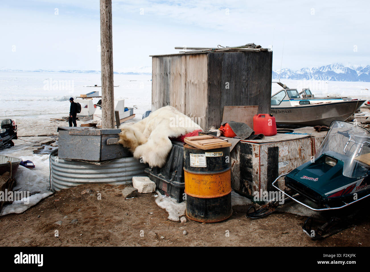 Eisbär (Ursus Maritimus) ausblenden gedumpten in Müll, Pond Inlet, Nunavut, Kanada. Stockfoto