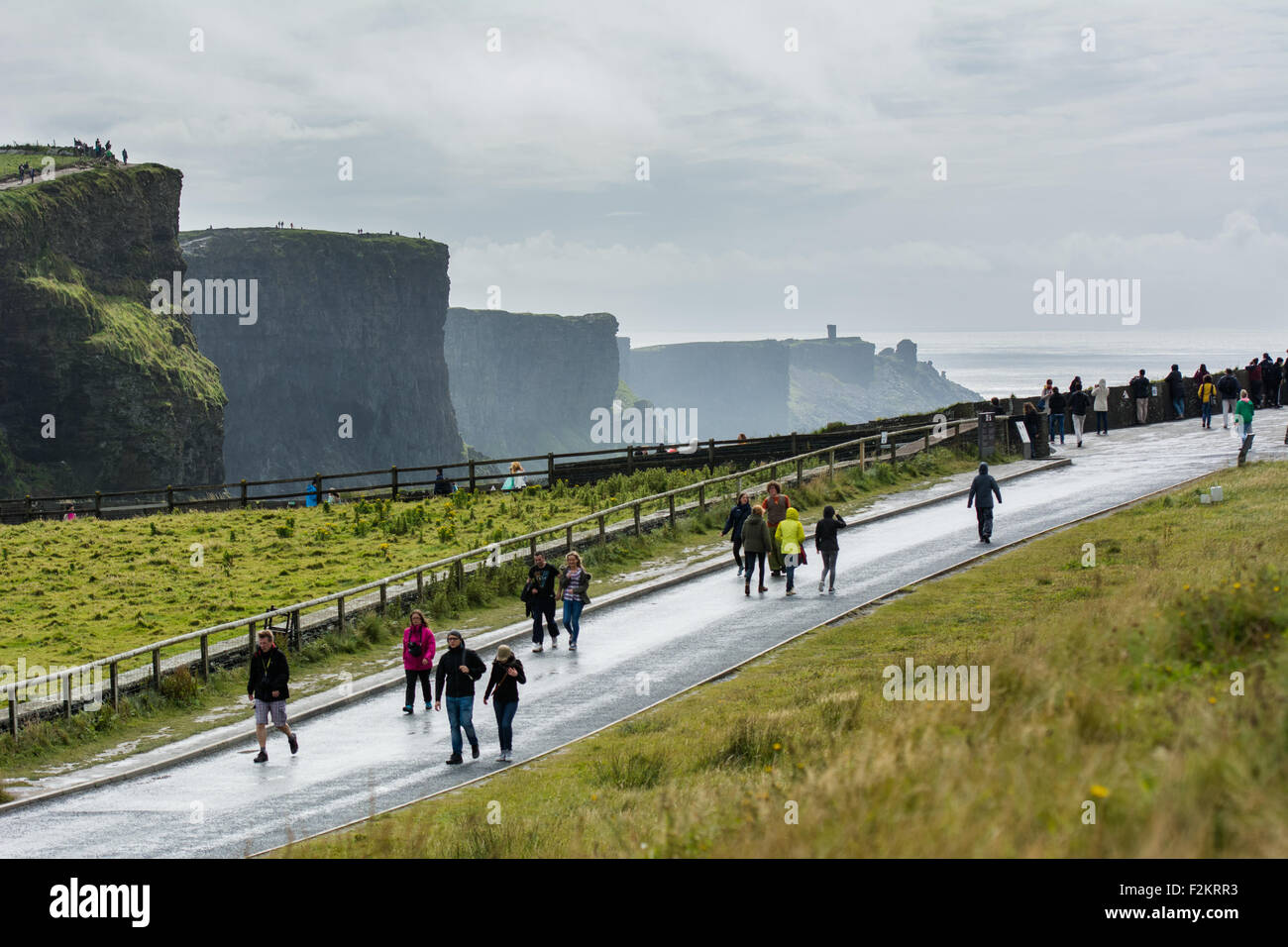 Klippen von Moher auf dem Wilden Atlantik Weg an der West Küste von Irland Stockfoto