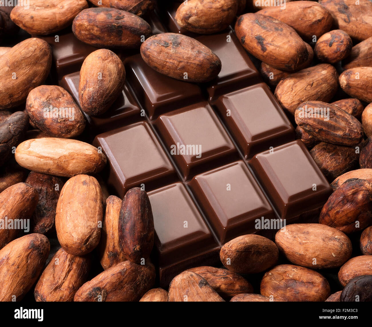 Kakaobohnen und Schokolade. Stockfoto
