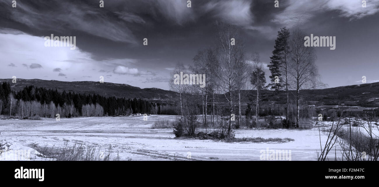 Eine getönte Monochrom-Panorama-Aufnahme einer norwegischen Landschaft im Winter Stockfoto