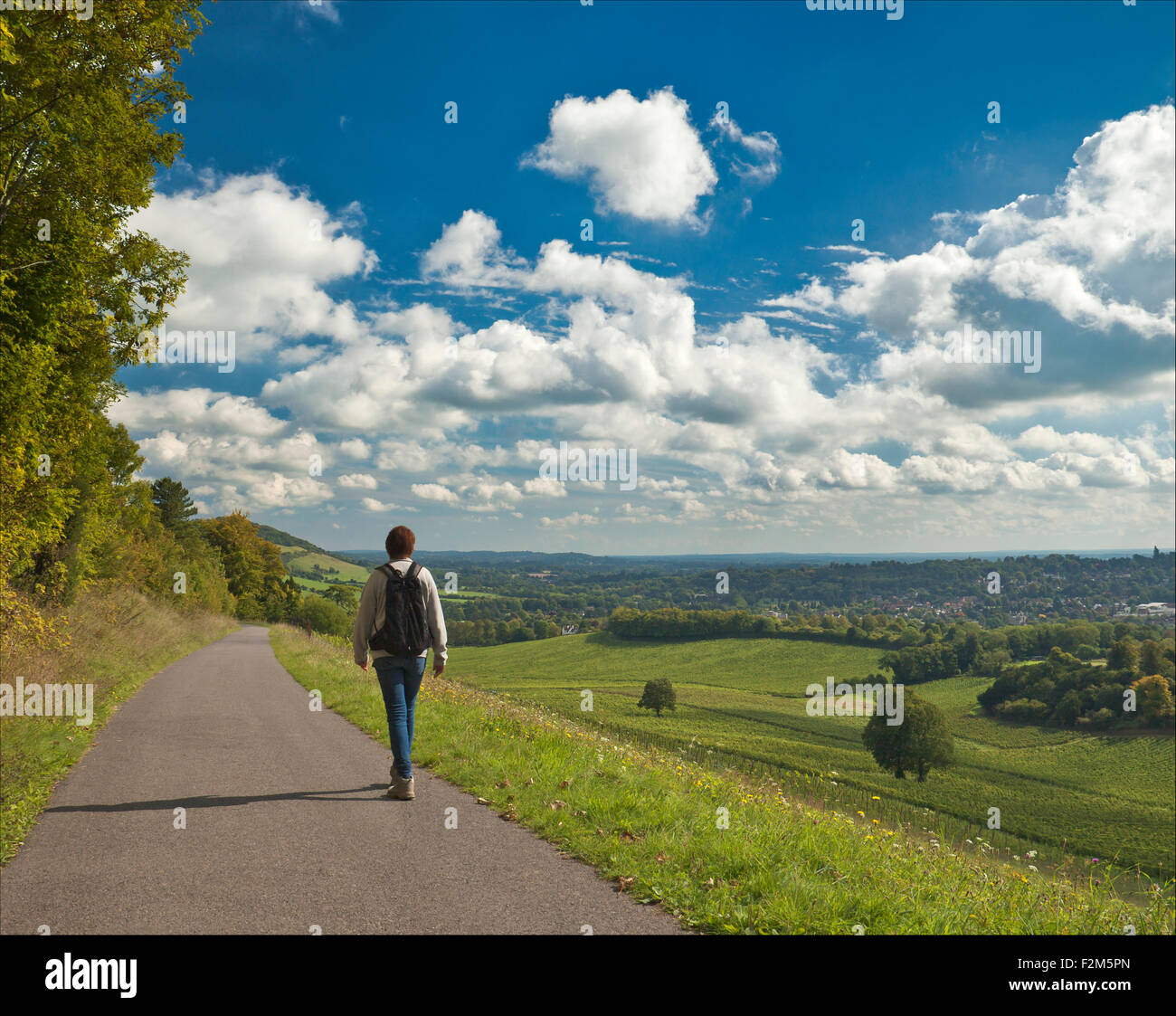 Frau Ranmore gemeinsamen Dorking entlang. Stockfoto