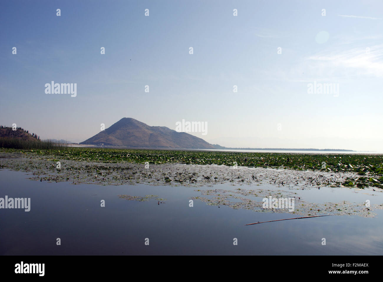 ein Berg an der Seite der Skutarisee spiegelt sich in den Gewässern der größte See auf dem Balkan Stockfoto