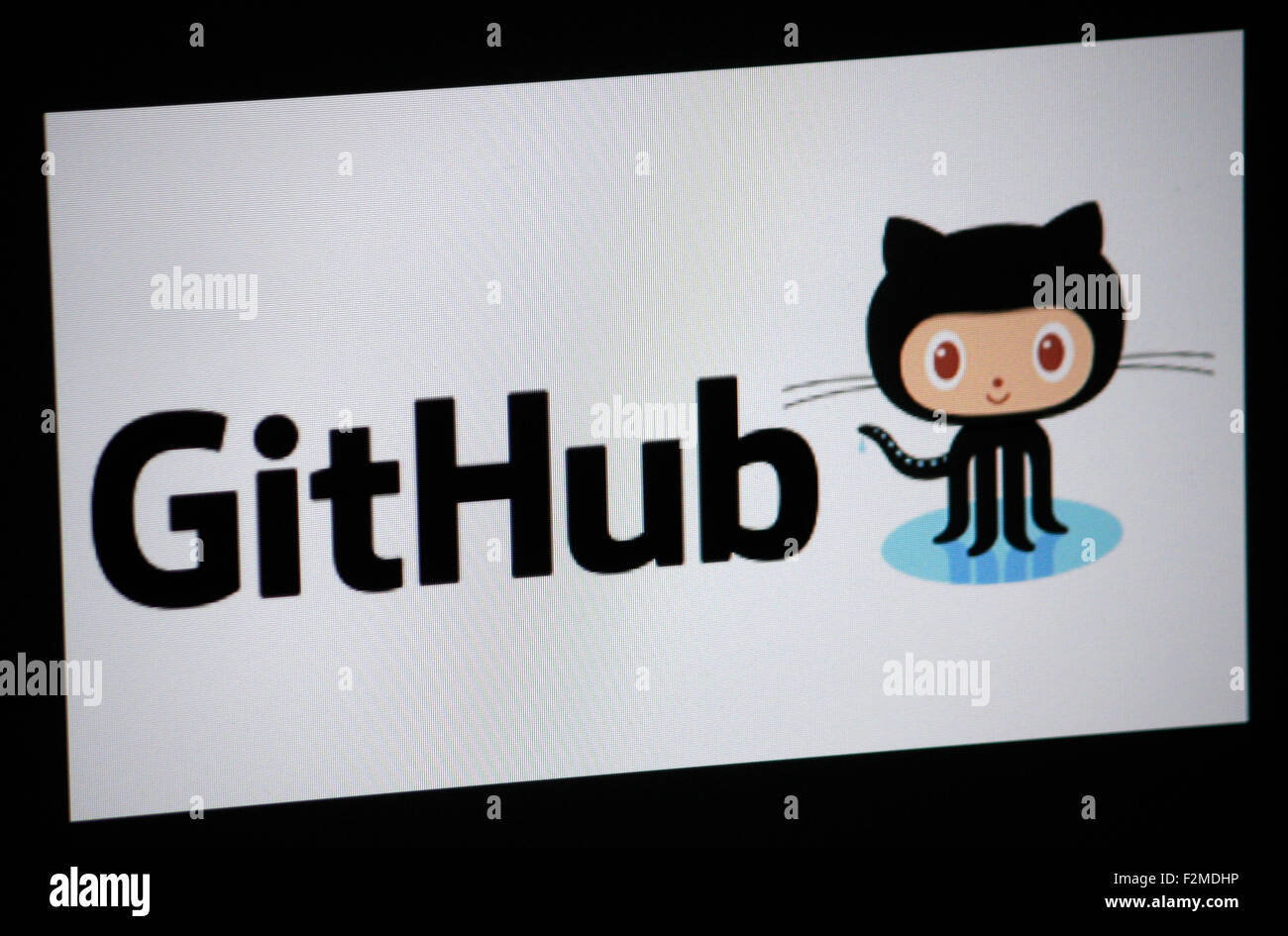 Markenname: "GitHub", Berlin. Stockfoto