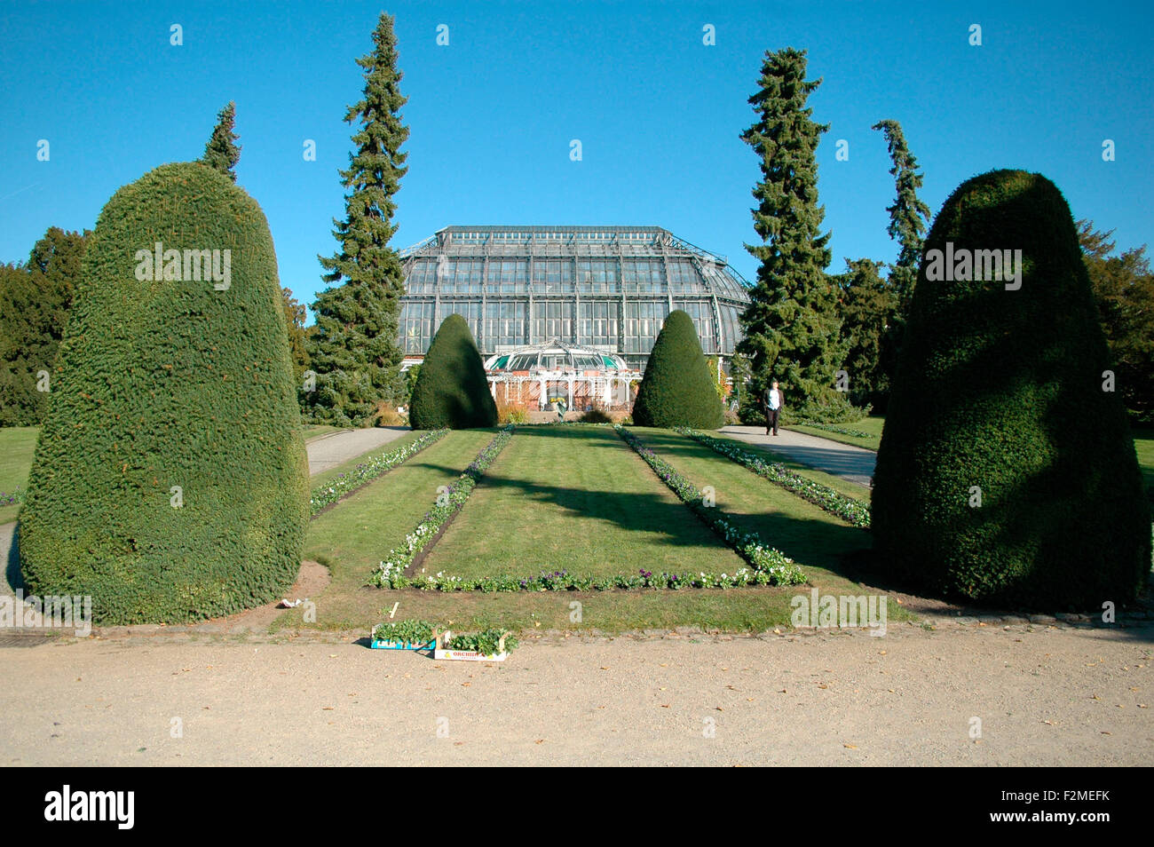 Botanischen Garten, Berlin-Steglitz. Stockfoto