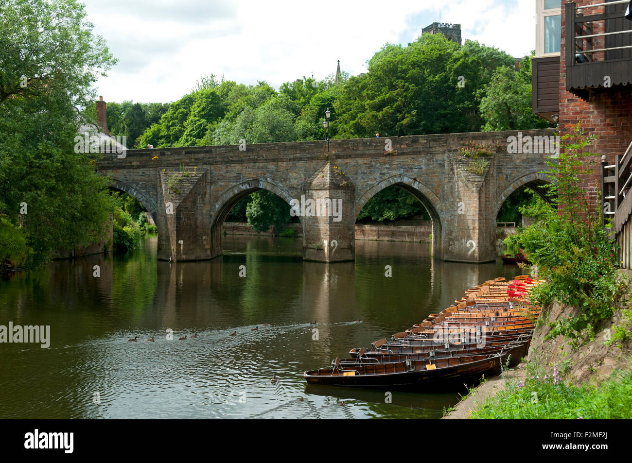Der Fluss Wear und Ruderboote an Elvet Bridge, Durham City, England, UK Stockfoto