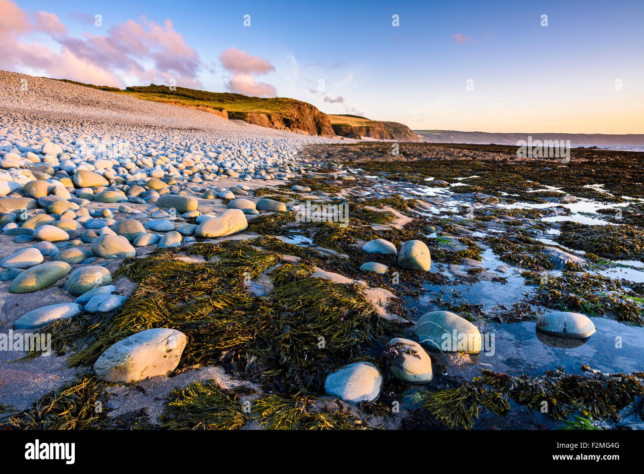 Cornborough Range und Abbotsham Cliff an der Nordküste von Devon in der Nähe von Abbotsham, England. Stockfoto