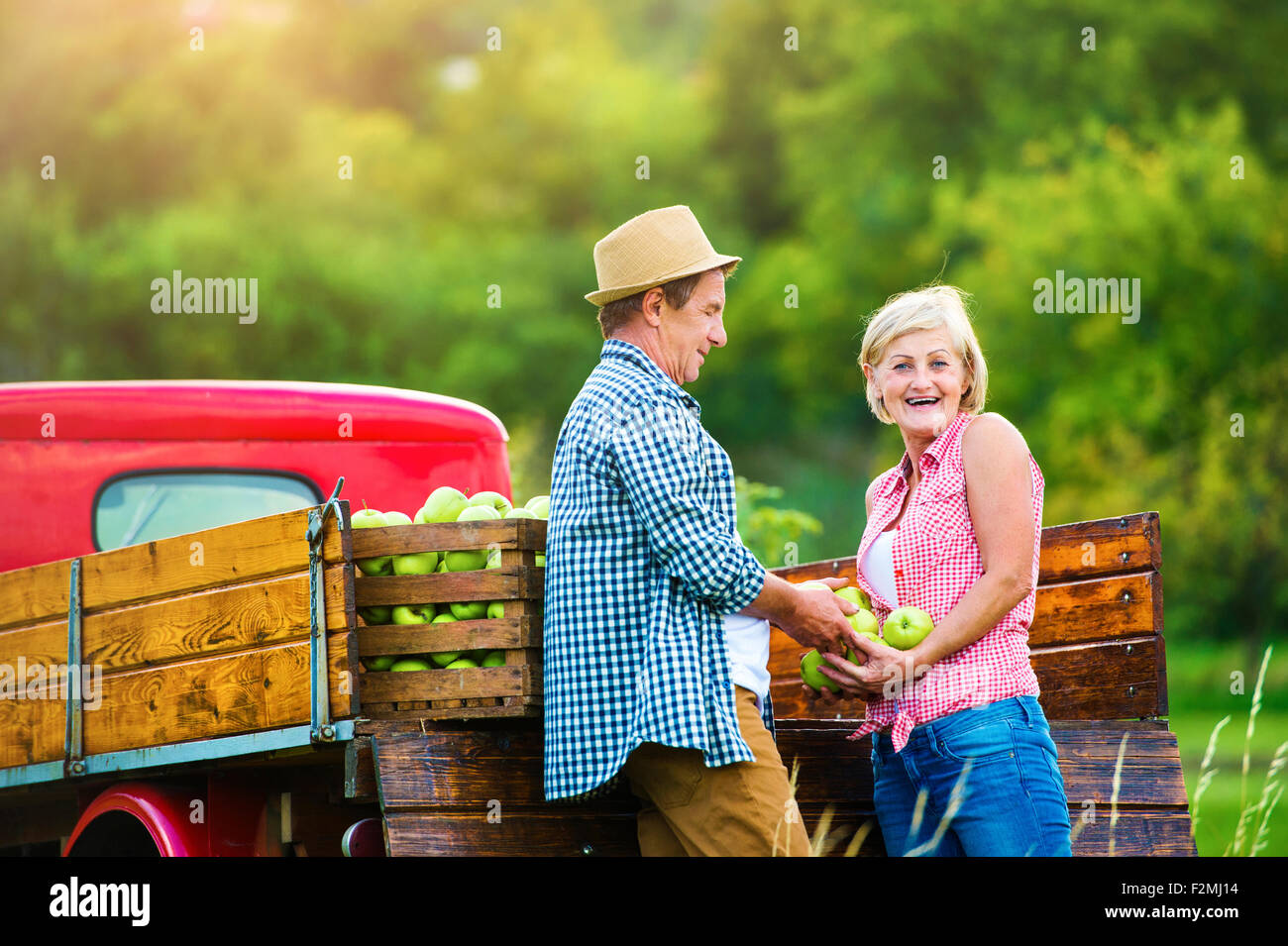 Älteres Paar steht vor einem LKW nach der Ernte der Äpfel Stockfoto