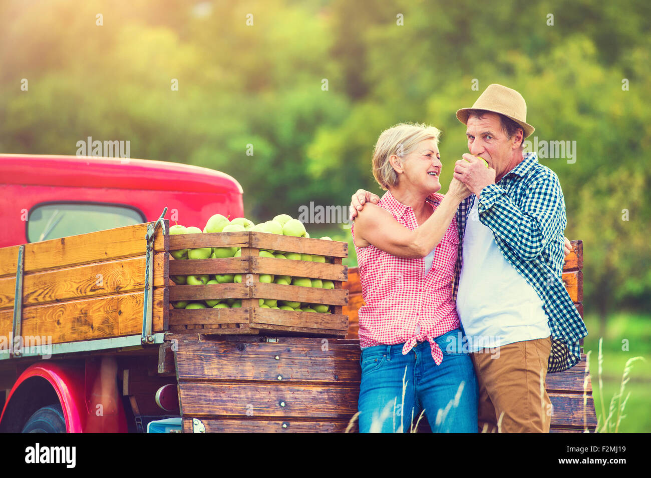 Älteres Paar steht vor einem LKW nach der Ernte der Äpfel Stockfoto