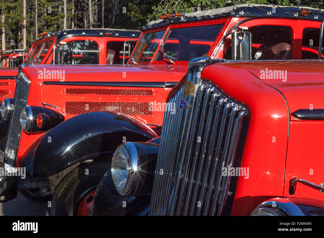 Roten und schwarzen Ford/White Motor Company antiken Touristenbusse parkten in der Nähe von Glacier Park Lodge, Montana, USA Stockfoto
