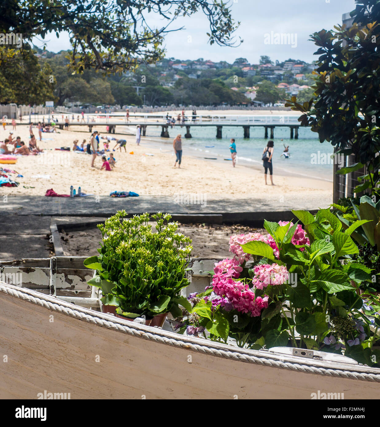 Balmoral Beach mit Blumen im Boot im Vordergrund Sydney Harbour Sydney New South Wales NSW Australia Stockfoto