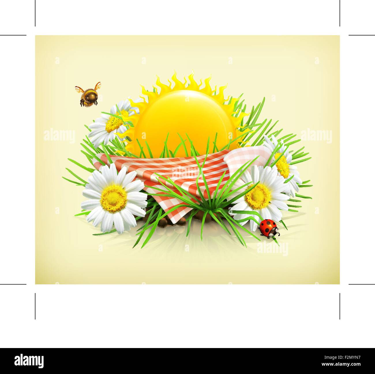 Sommer, Zeit für ein Picknick, Natur, Erholung im Freien, ein Tischtuch und Sonne im Rücken, Rasen, Blüten der Kamille, Marienkäfer und ein Stock Vektor