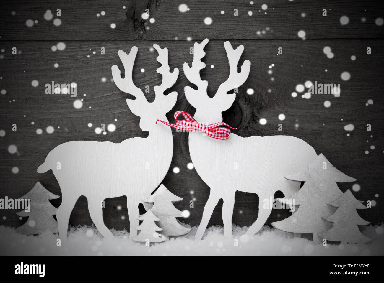 Gray, Weihnachtsdekoration, Rentier-paar In der Liebe, Schneeflocken Stockfoto