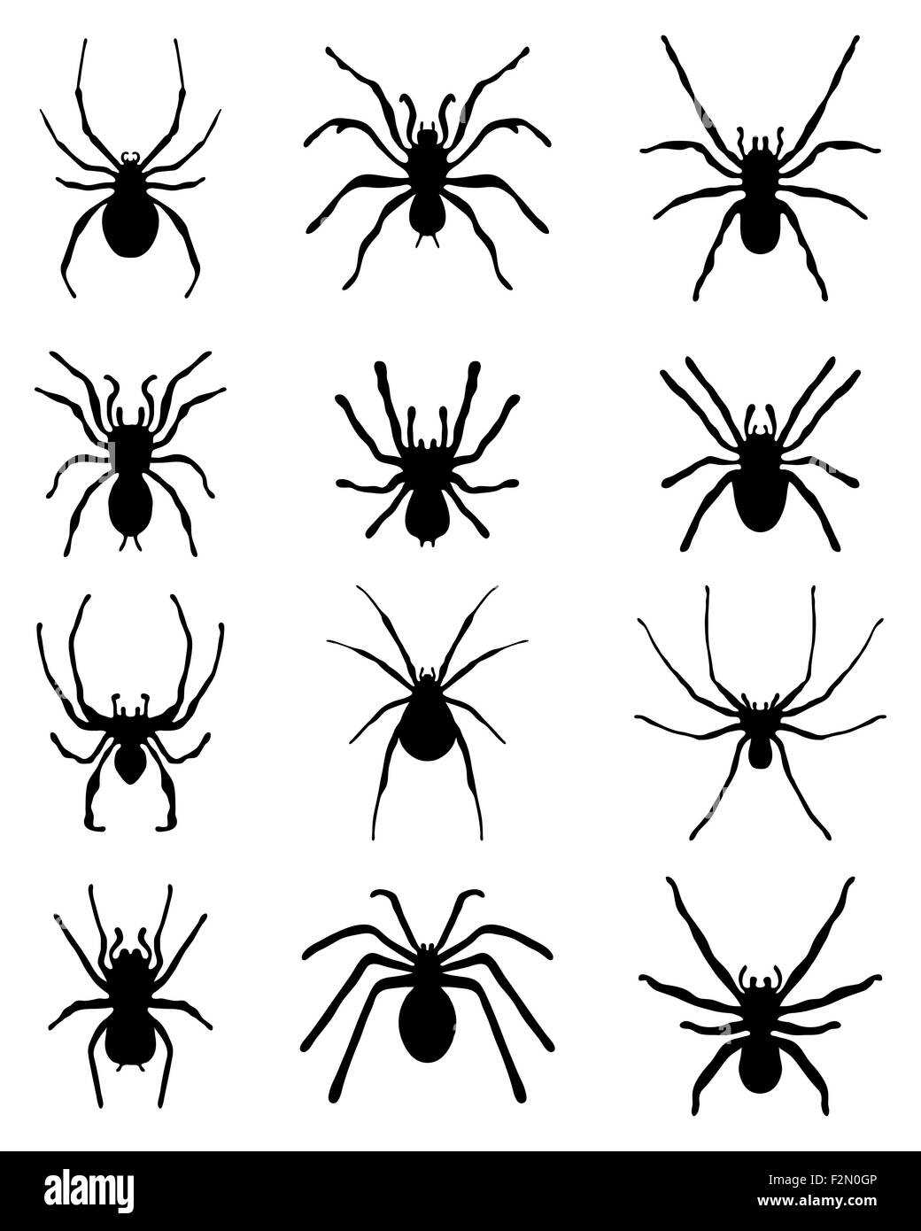 Schwarze Silhouetten von verschiedenen Spinnen, Vektor Stockfoto