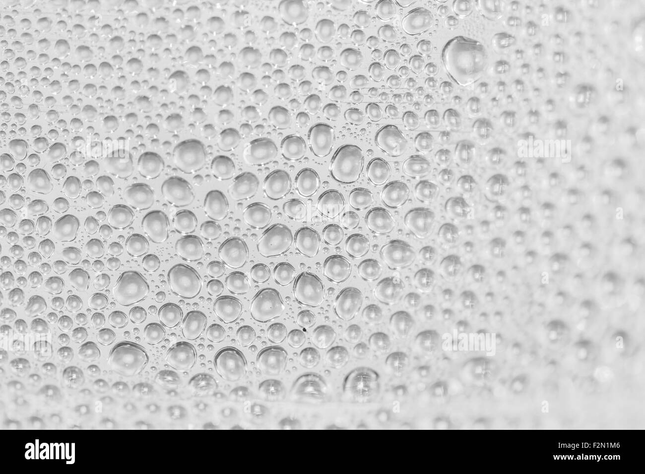 Wassertropfen auf Glas Stockfoto