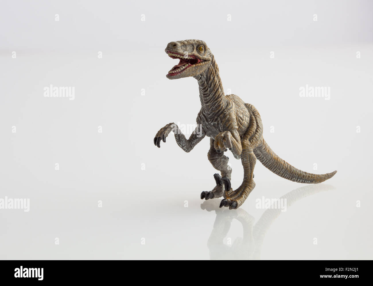 Graue Dinosaurier Spielzeug isoliert auf weiss Stockfoto