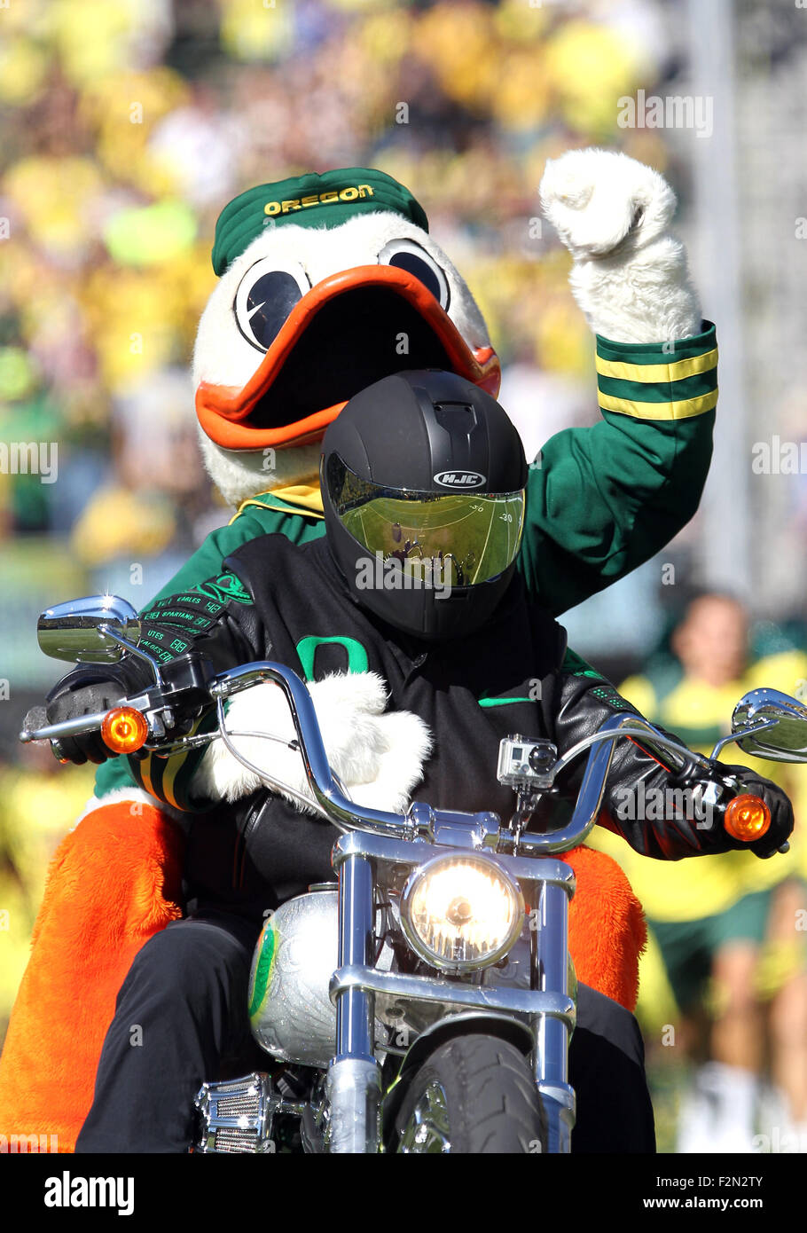 Autzen Stadium, Eugene, OR, USA. 19. Sep, 2015. Die Oregon-Ente bekommt seine üblichen Fahrt auf das Feld vor der NCAA Football-Spiel zwischen den Enten und der Georgia State Panthers Autzen Stadium, Eugene, OR. Larry C. Lawson/CSM/Alamy Live-Nachrichten Stockfoto