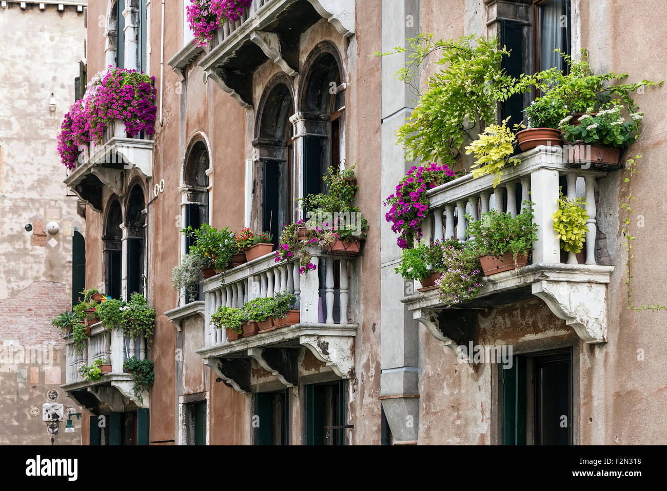 Blumen und Pflanzen schmücken die venezianischen Balkonen, Venedig, Italien Stockfoto