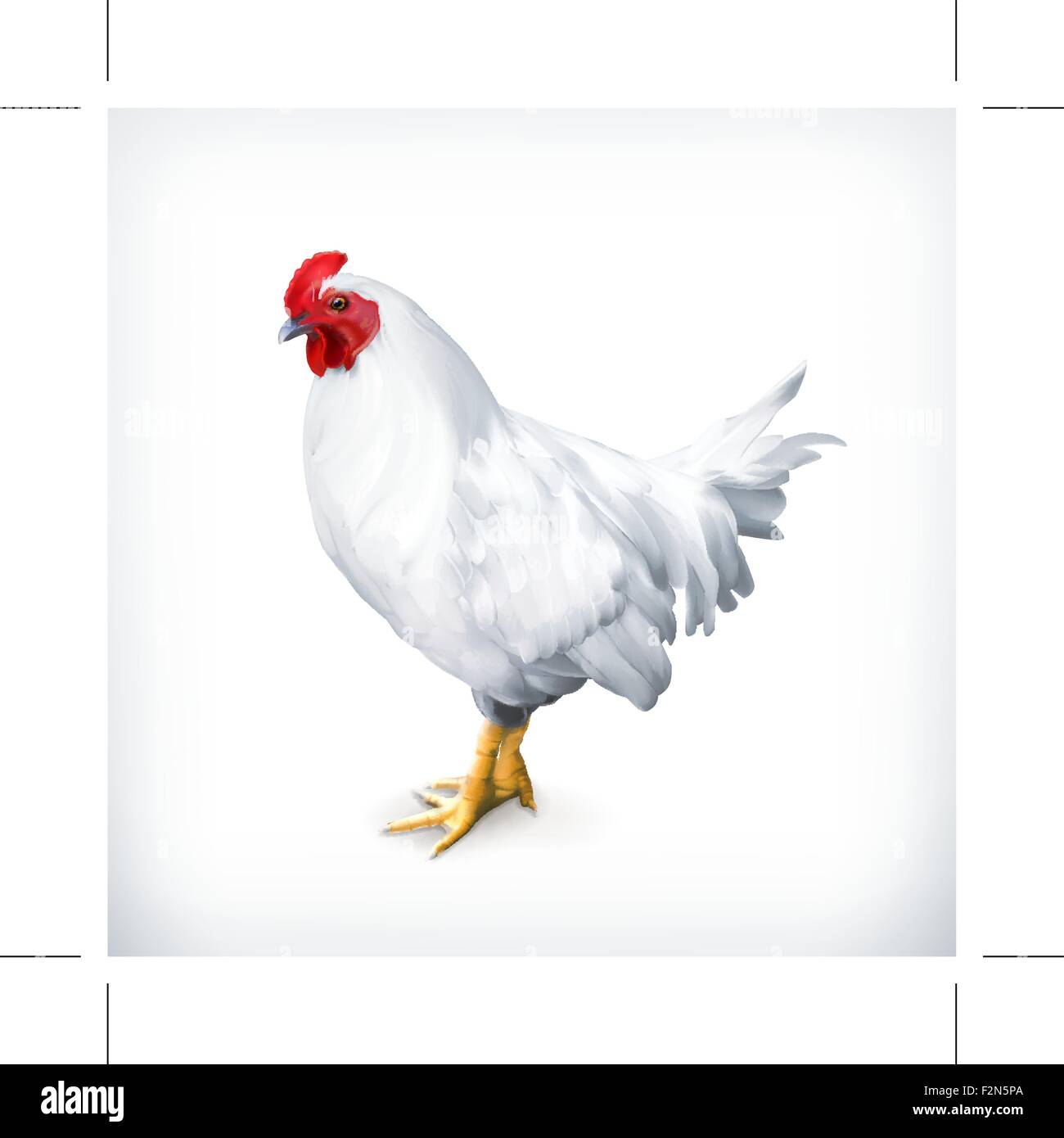 Weißes Huhn, Vektor-illustration Stock Vektor