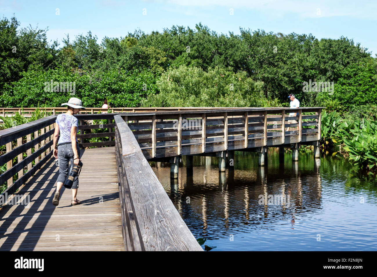 Delray Beach Florida, Wakodahatchee Wetlands, Natur, Naturschutzgebiet, erhöhte Promenade, Wasser, Besucher reisen Reise Tour Tourismus Wahrzeichen c Stockfoto