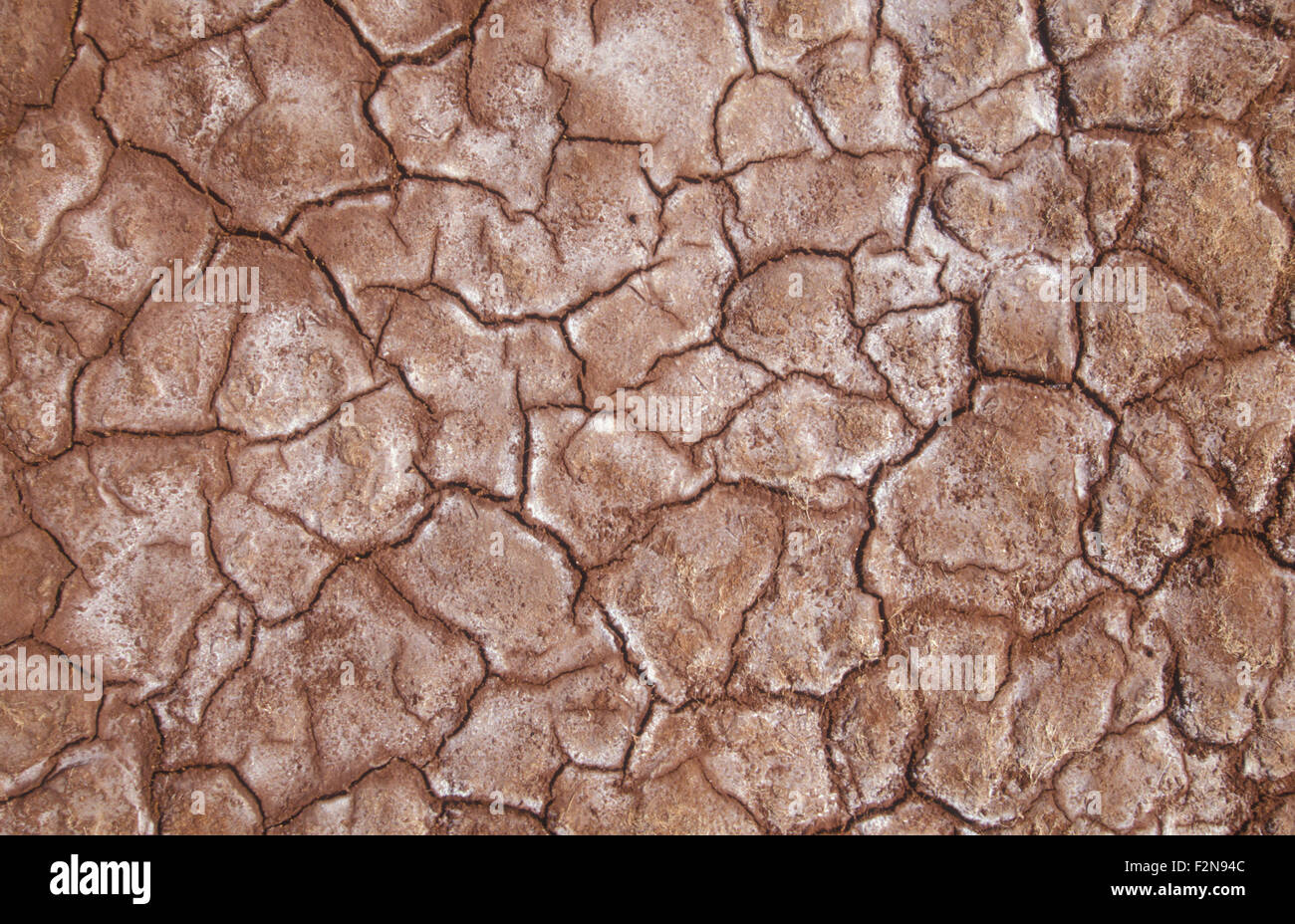 Getrockneten Schlamm nach extremer Trockenheit im Outback Australien Stockfoto