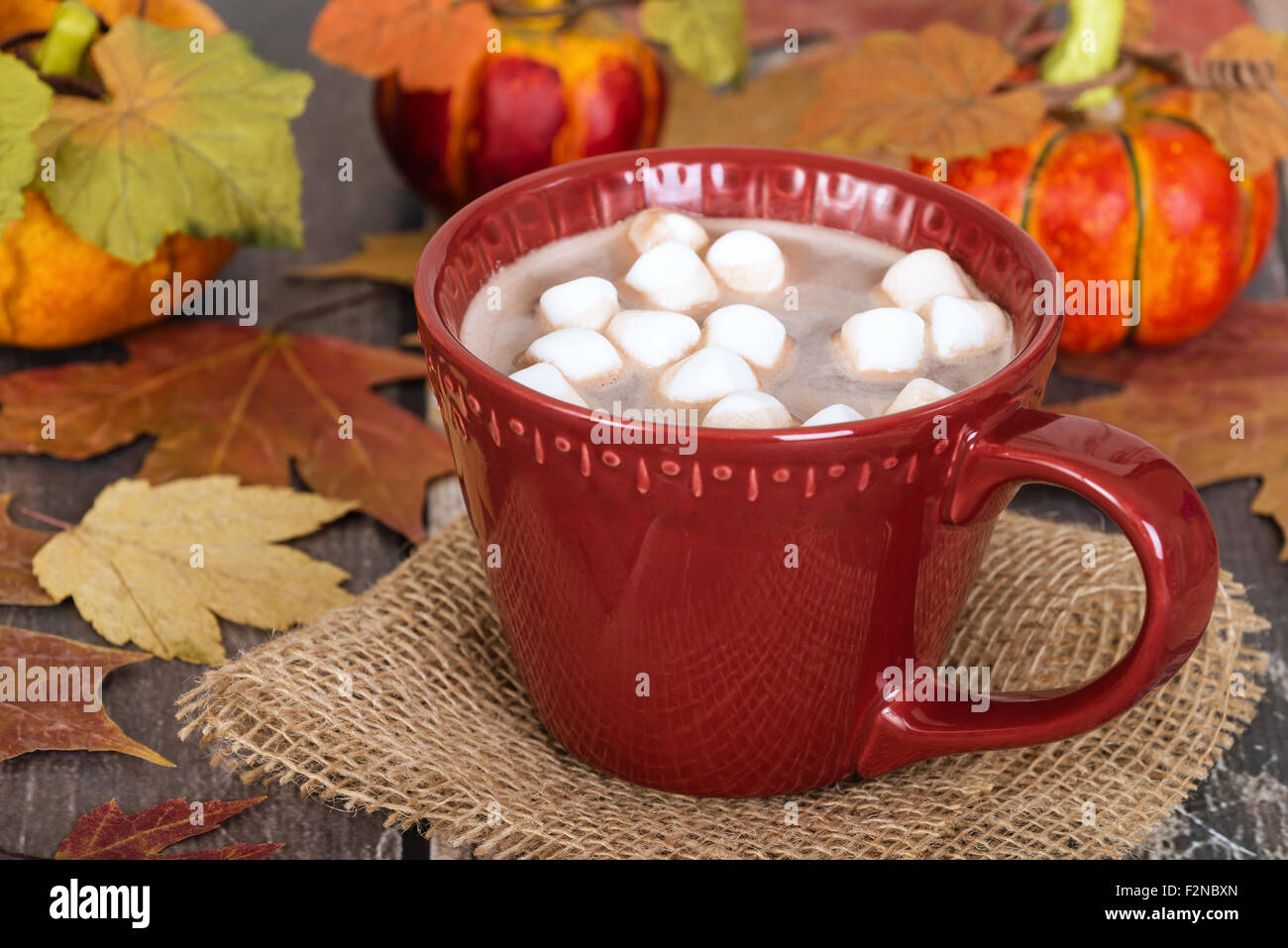 Heiße Schokolade und Marshmallows in rote Tasse. Rustikaler Hintergrund mit Herbstlaub und Kürbisse. Stockfoto