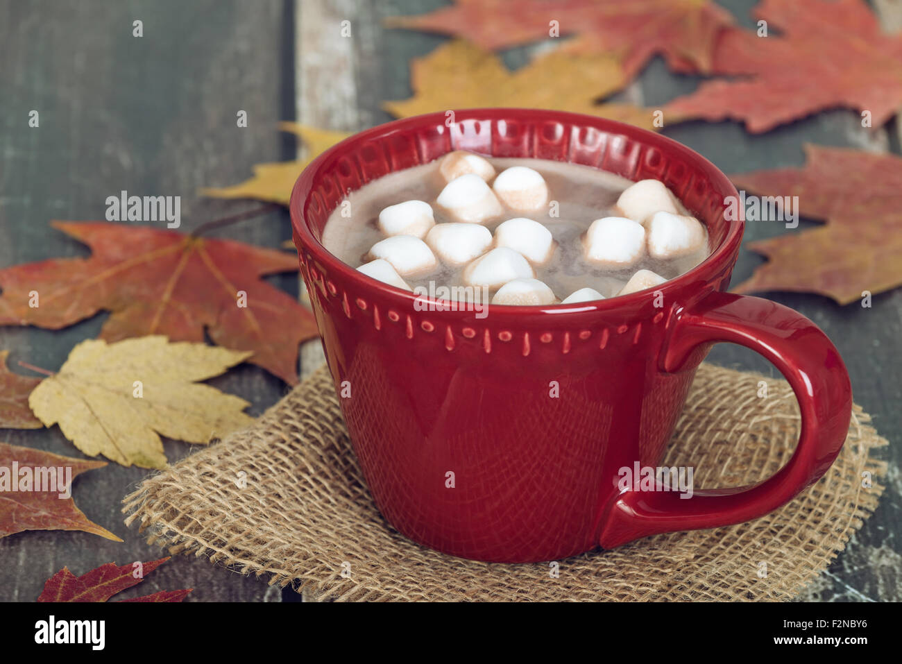 Heiße Schokolade mit Marshmallows in rote Tasse. Rustikaler Hintergrund mit Herbstlaub. Stockfoto