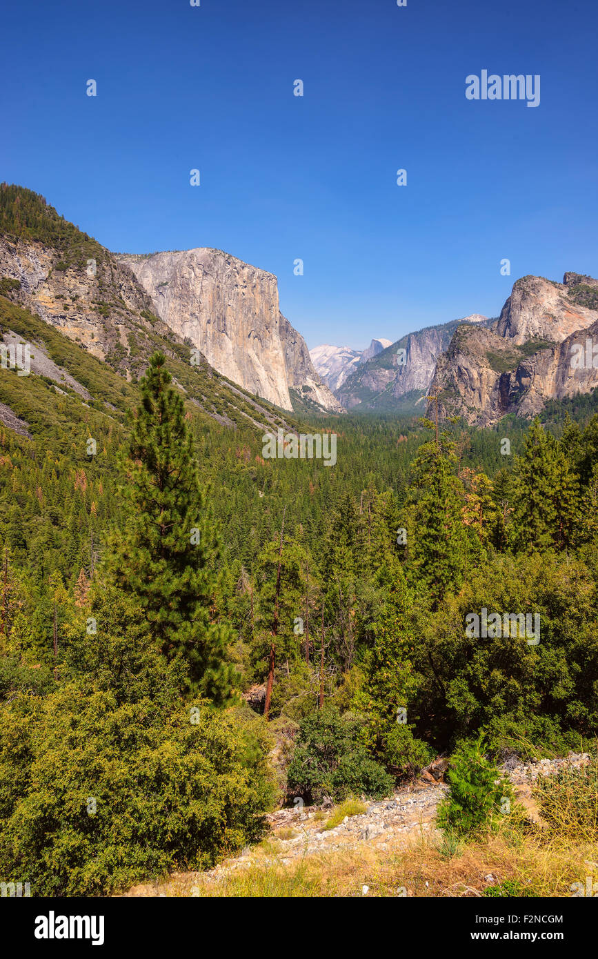 Yosemite National Park Valley unter blauem Himmel vom Tunnel View. vertikale Stockfoto