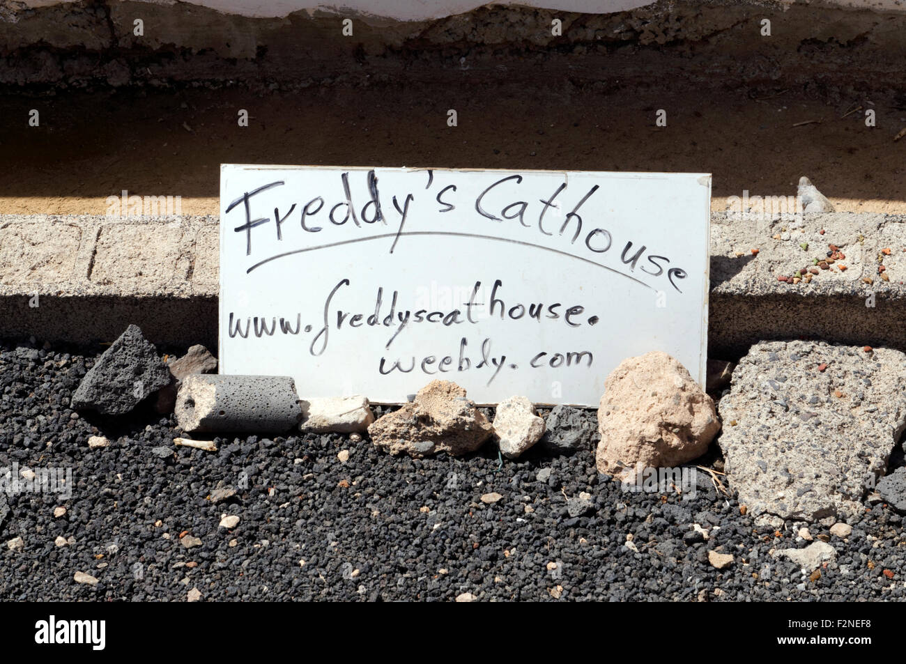 Freddies Katzenhaus Futterstation, Rubicom Marina Las Coloradas Playa Blanca, Lanzarote, Kanarische Inseln, Spanien. Stockfoto
